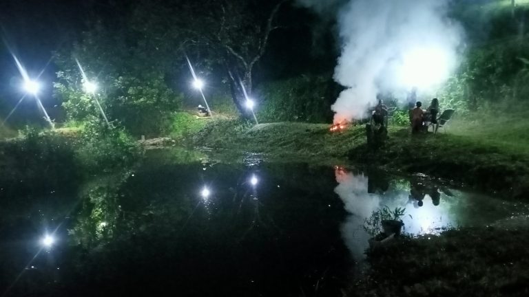 Night view at the Poolside