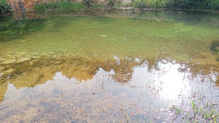 Crystal clear natural spring water pool