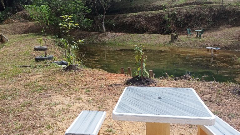 Poolside Chat Corner